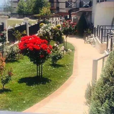 Gochevi * 써니비치