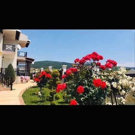 Gochevi * 써니비치